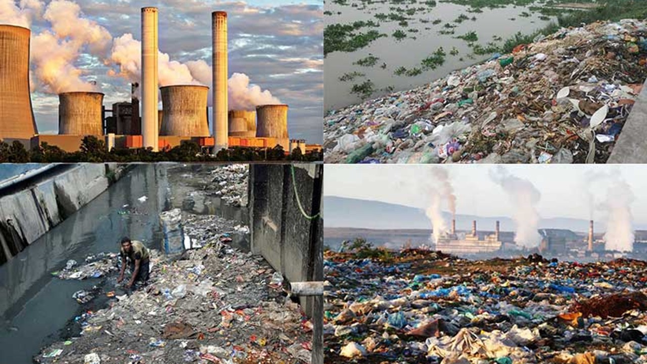 ZOO3523   Environmental Pollution (Sept. 2025)