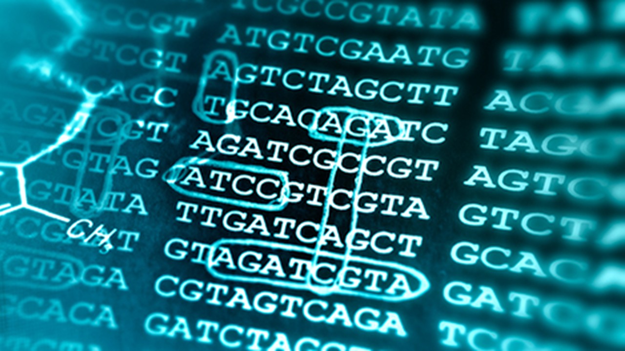 BOT3625  Bioinformatics  (Sept. 2025)