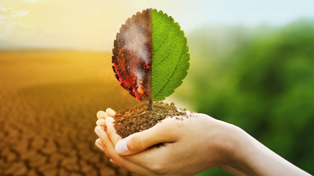 ZOO3625  Environmental  Impact Assessment  (Sept. 2025)