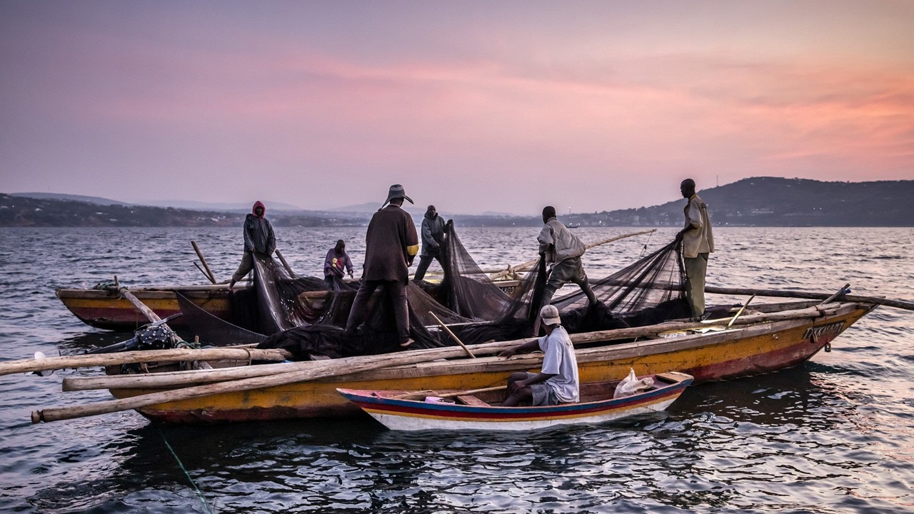 ZOO3624  - Fisheries and Aquaculture Management (April 2026)