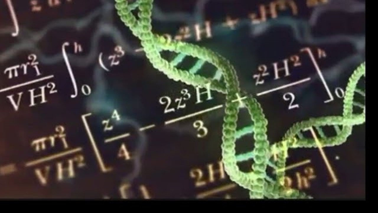 CMP1101 - Basic Mathemtics for Biological Sciences (April 2026)