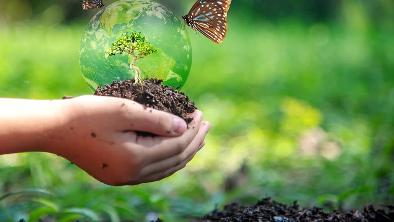 ZOO3522  - Biodiversity and Principles of Conservation (April 2026)