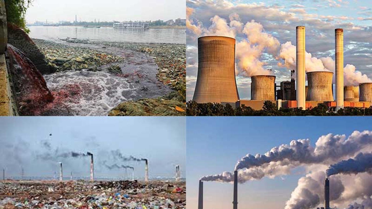 ZOO3523  - Environmental Pollution (April 2026)