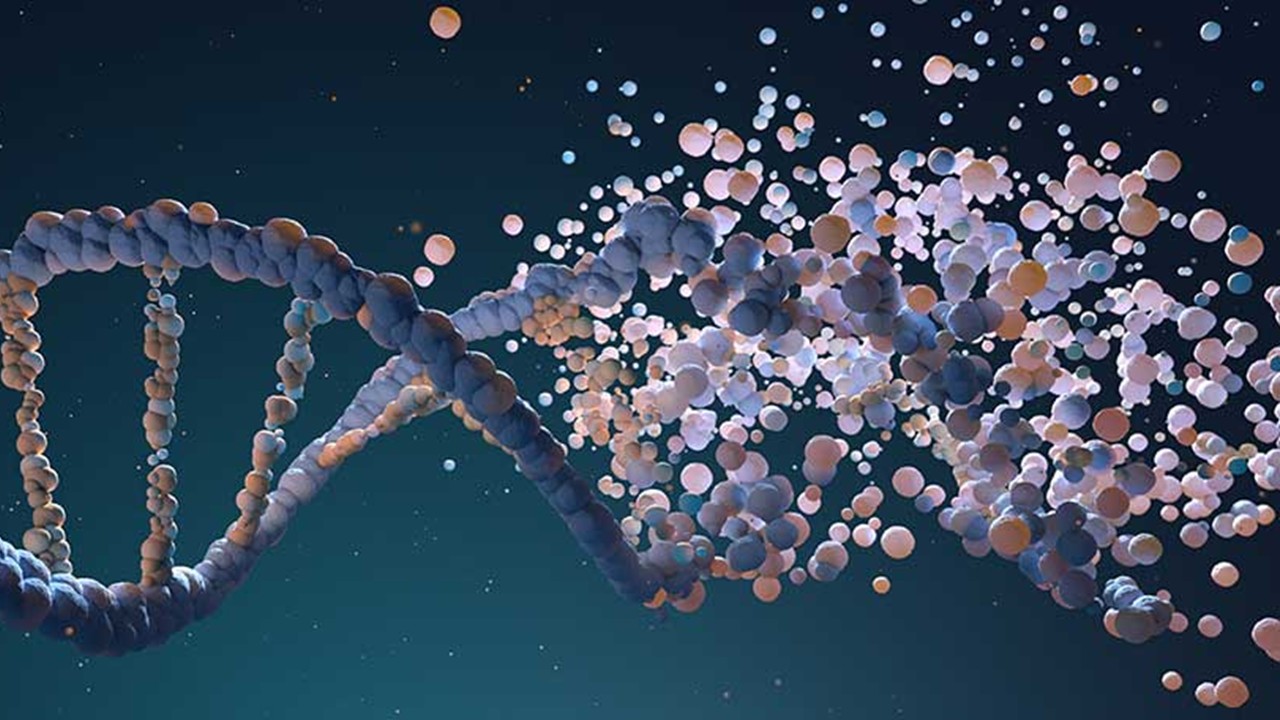 BOT3625 - Bioinformatics (Sept. 2026)