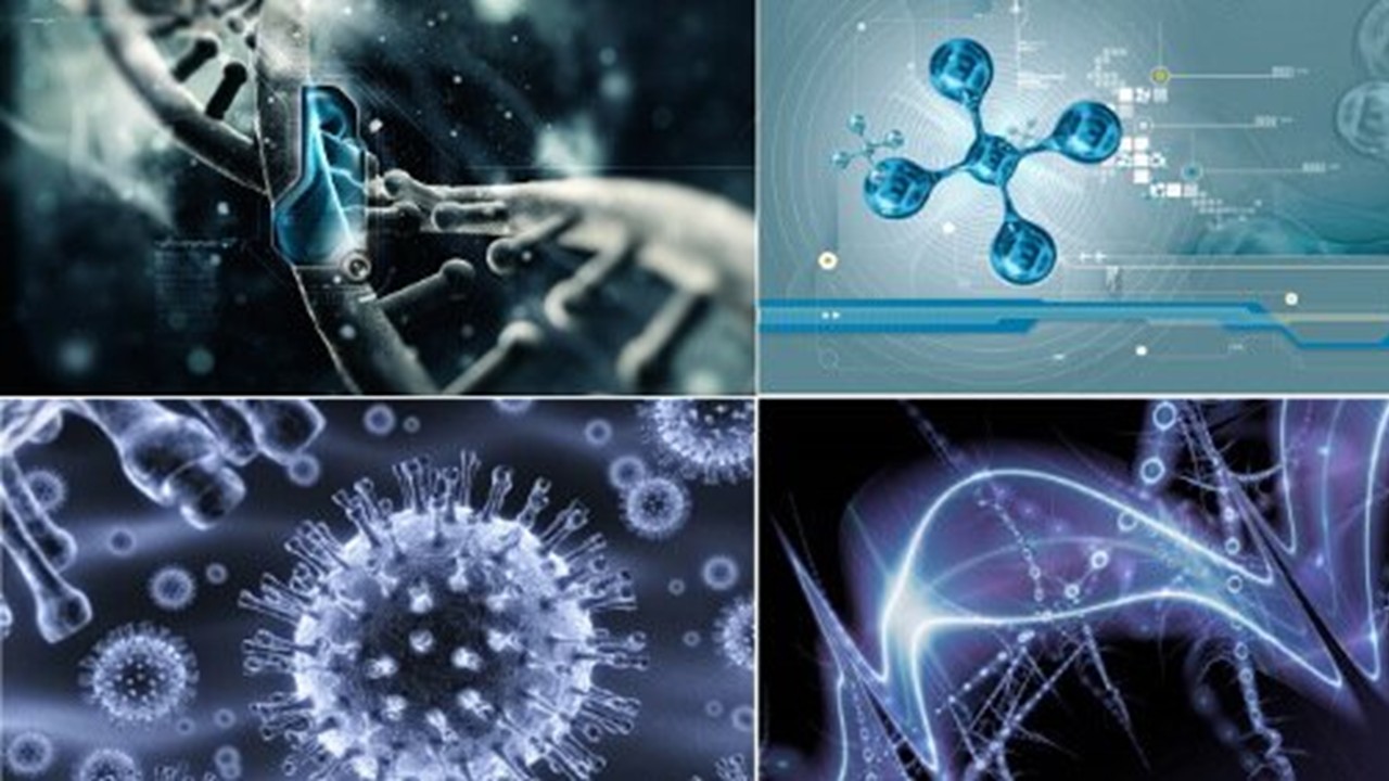 BOT3626 - Molecular Biotechnology (Sept. 2026)
