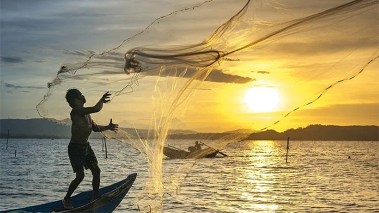 ZOO3624 - Fisheries and Aquaculture Management  (Sept. 2026)