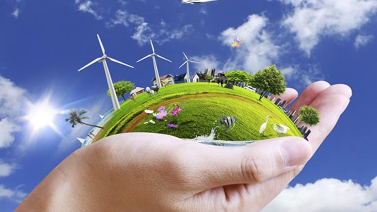 ZOO3625 - Environmental Impact Assessment (Sept. 2026)